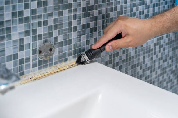 Mold Testing and Removal in Colquitt, GA