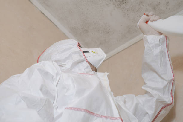Best Mold Cleaning Services  in Colquitt, GA