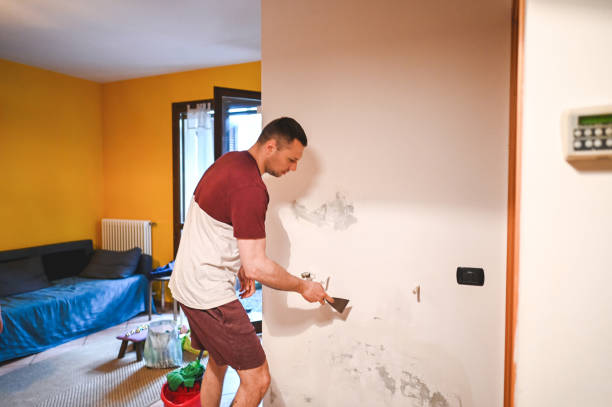 Best Commercial Mold Removal  in Colquitt, GA